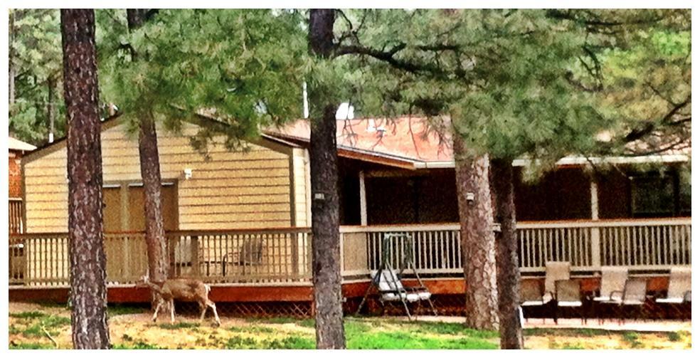 Village Lodge Ruidoso Esterno foto